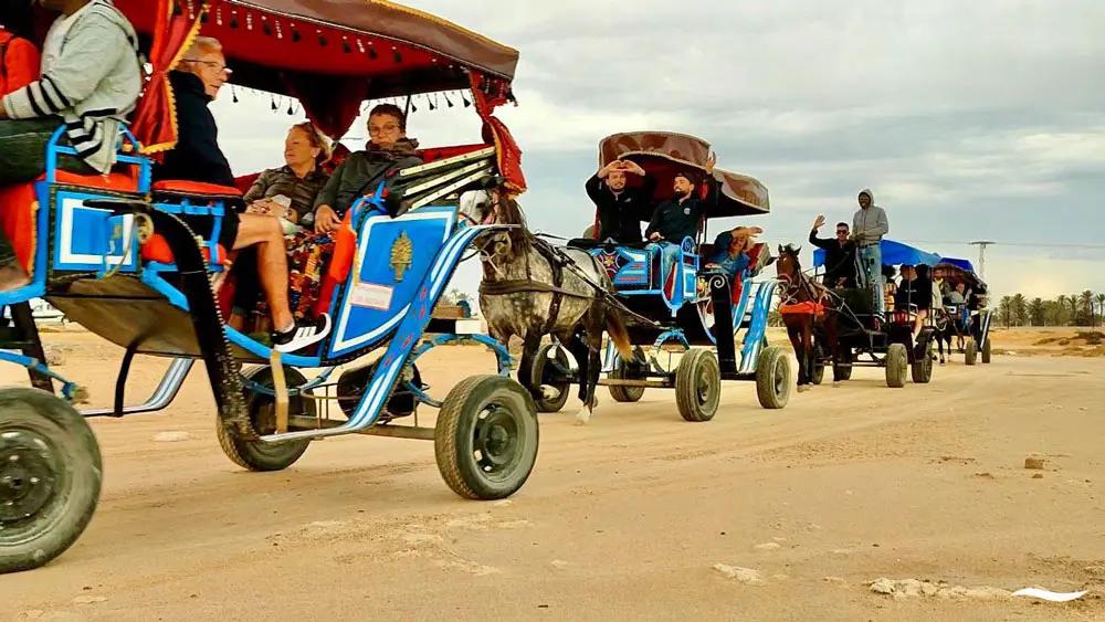 Cheval sur la plage pour une balade equestre a Djerba