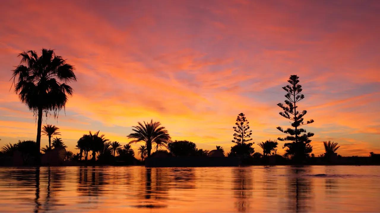 Coucher de soleil sur la lagune de Guellala avec silhouettes de palmiers a Djerba